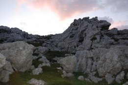 DSC1 (103).jpg